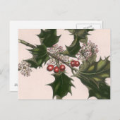 Carte Postale holly berrie (Devant / Derrière)
