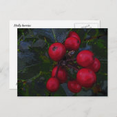 Carte postale Holly Berries (Devant / Derrière)