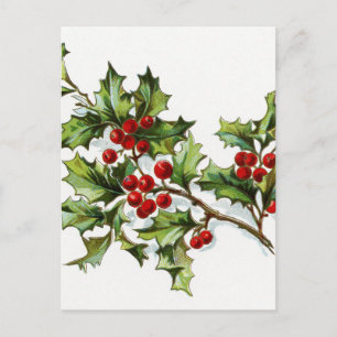Carte Postale Holly Berries 002