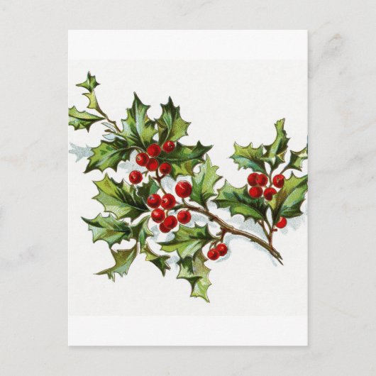 Carte Postale Holly Berries 002 (Devant)