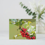 Carte Postale Holly Berries 005 (Debout devant)