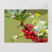 Carte Postale Holly Berries 005 (Devant)