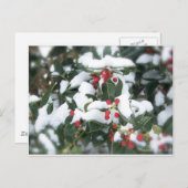 Carte postale Holly Bush 2007 (Devant / Derrière)