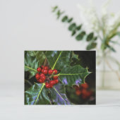 Carte Postale Holly Feuilles et Berries (Debout devant)