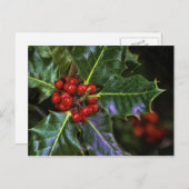 Carte Postale Holly Feuilles et Berries (Devant / Derrière)