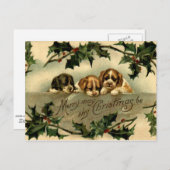Carte Postale Holly Puppies (Devant / Derrière)