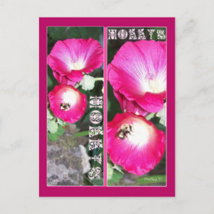 CARTE POSTALE HOLLY SIGNET