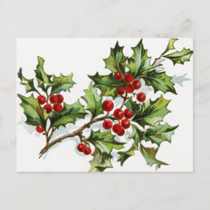 Carte Postale HollyBerries 001