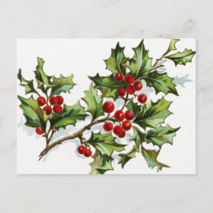 Carte Postale HollyBerries_001