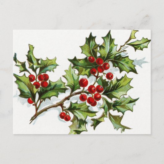 Carte Postale HollyBerries_001 (Devant)