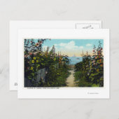 Carte Postale Hollyhock Lane Vue du port (Devant / Derrière)