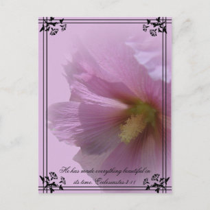 Carte Postale Hollyhock rose