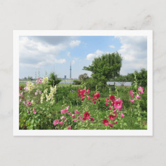 Carte Postale Hollyhocks: Arakawa River, Tokyo