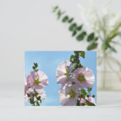 Carte Postale Hollyhocks: Japan (Debout devant)