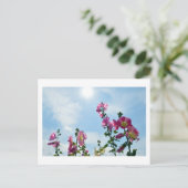 Carte Postale Hollyhocks: Japan (Debout devant)
