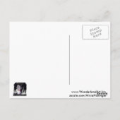 Carte Postale Hollywood Nights (Dos)