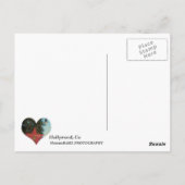 Carte postale hollywoodienne ! (Dos)