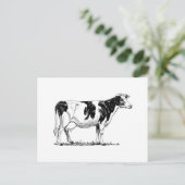 Carte Postale Holstein Cow (Debout devant)
