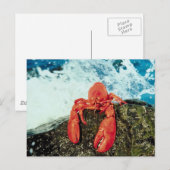 Carte Postale Homard (Devant / Derrière)