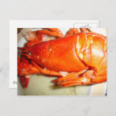 Carte Postale Homard (Devant / Derrière)