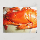Carte Postale Homard (Devant)