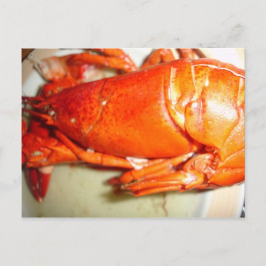 Carte Postale Homard (Devant)