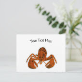 Carte postale homard (Debout devant)