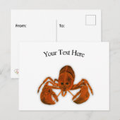 Carte postale homard (Devant / Derrière)