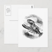 Carte Postale Homard américain (Devant / Derrière)