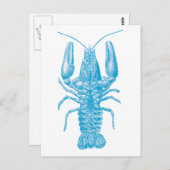 Carte Postale Homard bleu (Devant / Derrière)