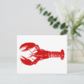 Carte Postale Homard rouge profond sur blanc (Debout devant)