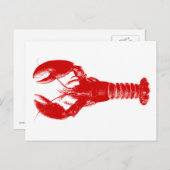 Carte Postale Homard rouge profond sur blanc (Devant / Derrière)