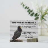 Carte Postale Home Perm Salon Mailer (Debout devant)