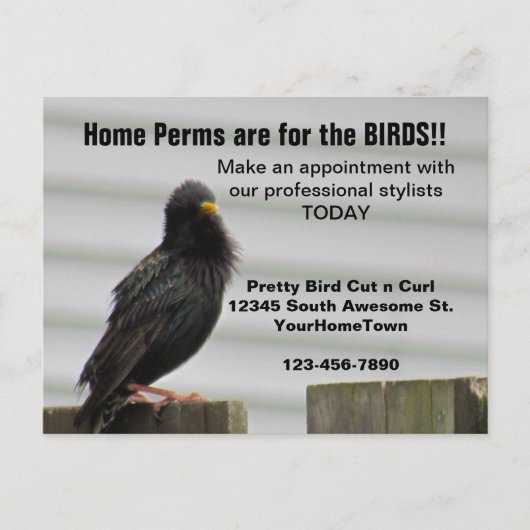 Carte Postale Home Perm Salon Mailer (Devant)