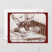 Carte Postale Homecoming Homecoming Homes (Devant / Derrière)