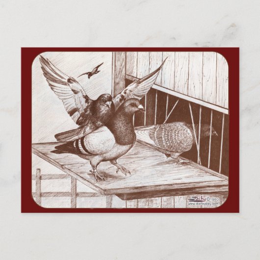 Carte Postale Homecoming Homecoming Homes (Devant)