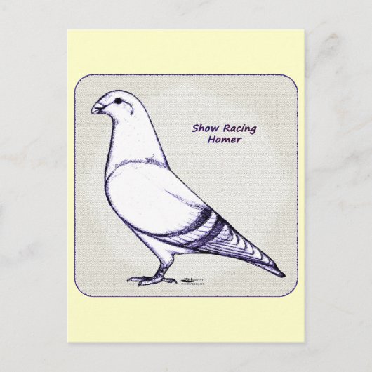 Carte Postale Homer Design (Devant)