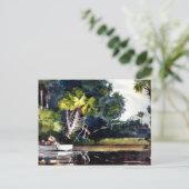 Carte Postale Homer - Homosassa Jungle (Debout devant)