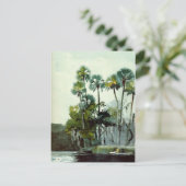 Carte Postale Homer - Homosassa River (Debout devant)