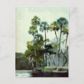 Carte Postale Homer - Homosassa River (Devant)