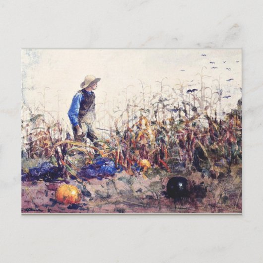 Carte Postale Homère - Parmi les légumes (Devant)