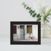 Carte Postale Homeward Bound (Debout devant)