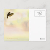 Carte Postale Homeward Bound (Dos)