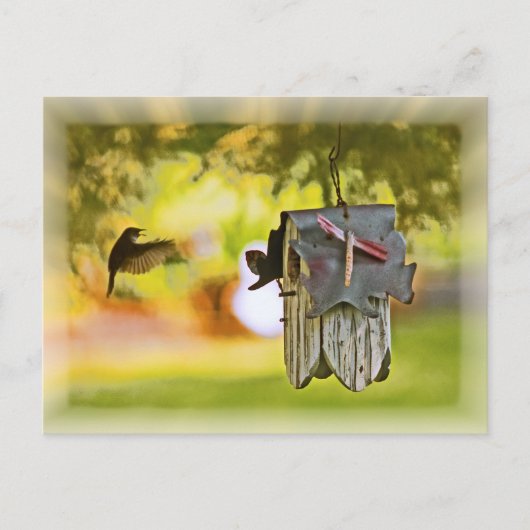 Carte Postale Homeward Bound (Devant)