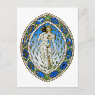 Carte postale : Homme anatomique