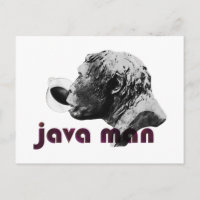 Homme d'argile Java