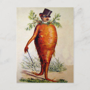 Carte Postale Homme de carottes victorien