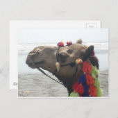 Carte Postale Homme d'O ! Muscat (Devant / Derrière)