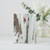 Carte Postale Homme escalade glace, Colorado (Debout devant)