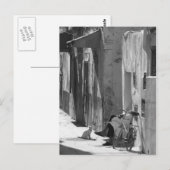 Carte Postale Homme et chat (Devant / Derrière)